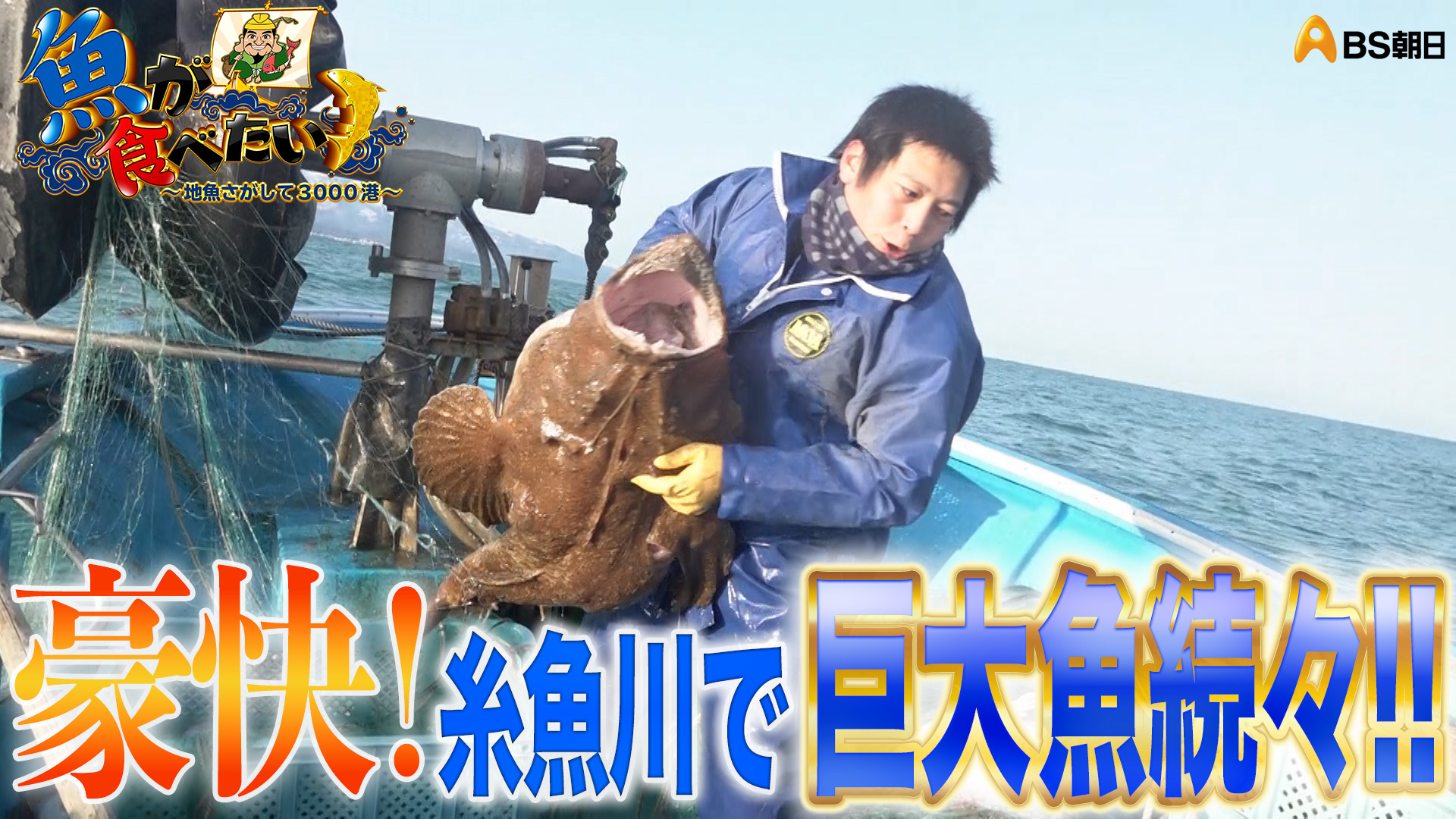 無料テレビで【BS朝日】魚が食べたい！を視聴する