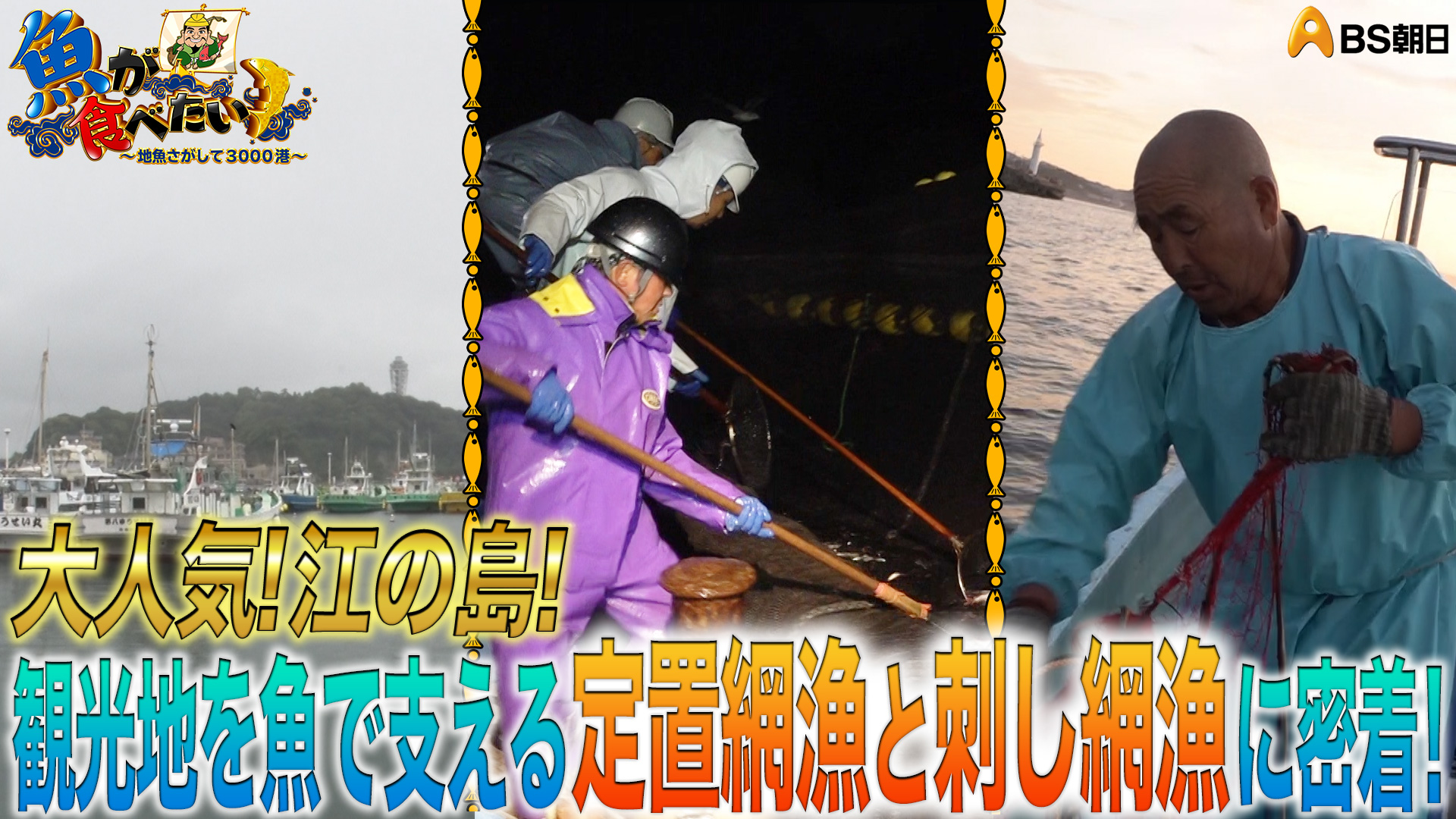 無料テレビで【BS朝日】魚が食べたい！を視聴する