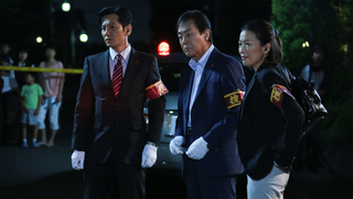 警視庁捜査一課9係 season8｜テレ朝動画