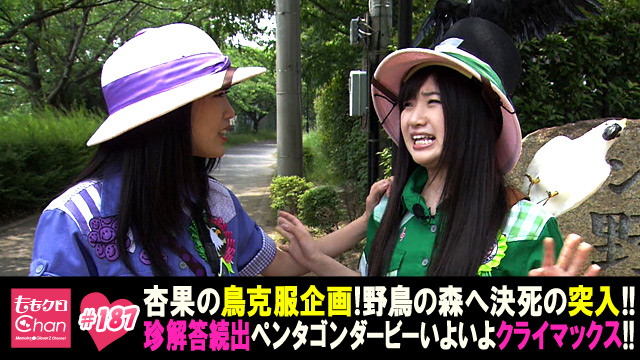 187（2014/7/8放送DX）｜ももクロChan～Momoiro Clover Z Channel