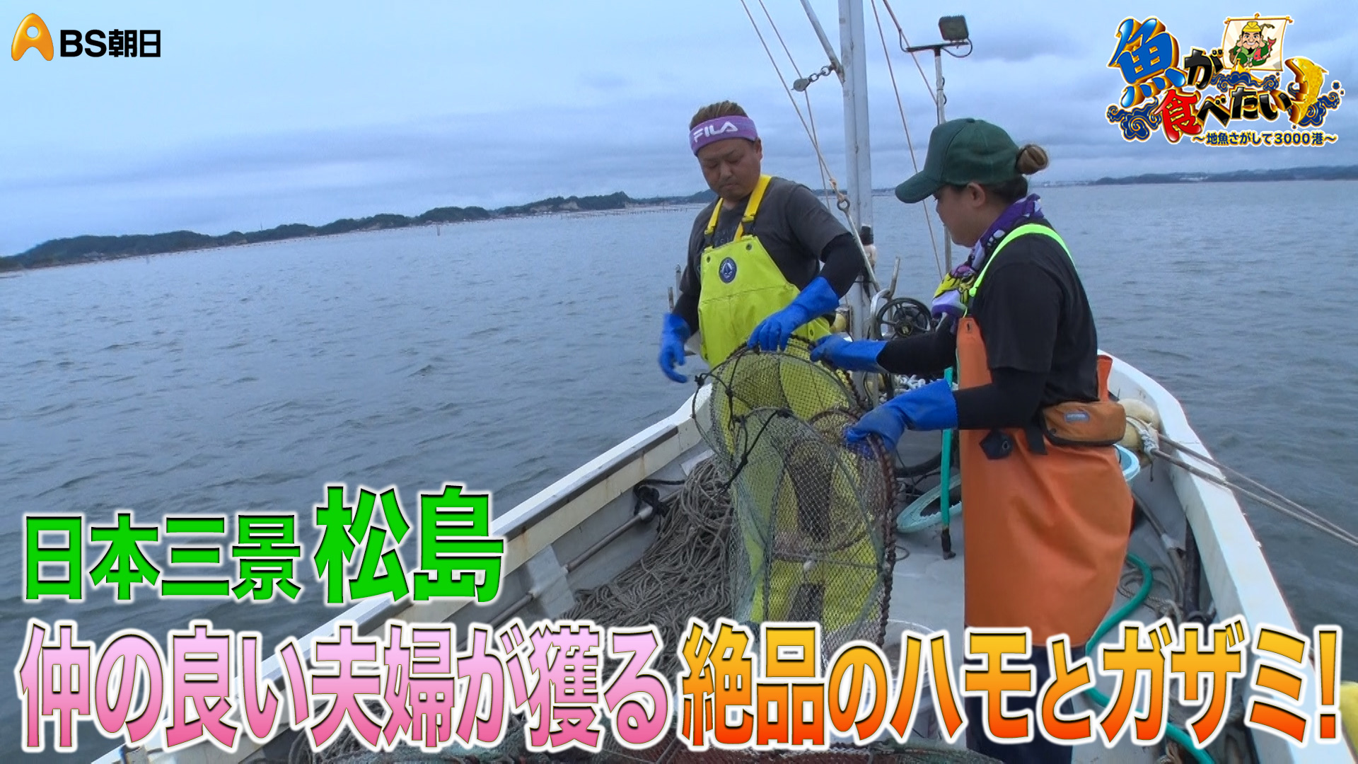 無料テレビで【BS朝日】魚が食べたい！を視聴する