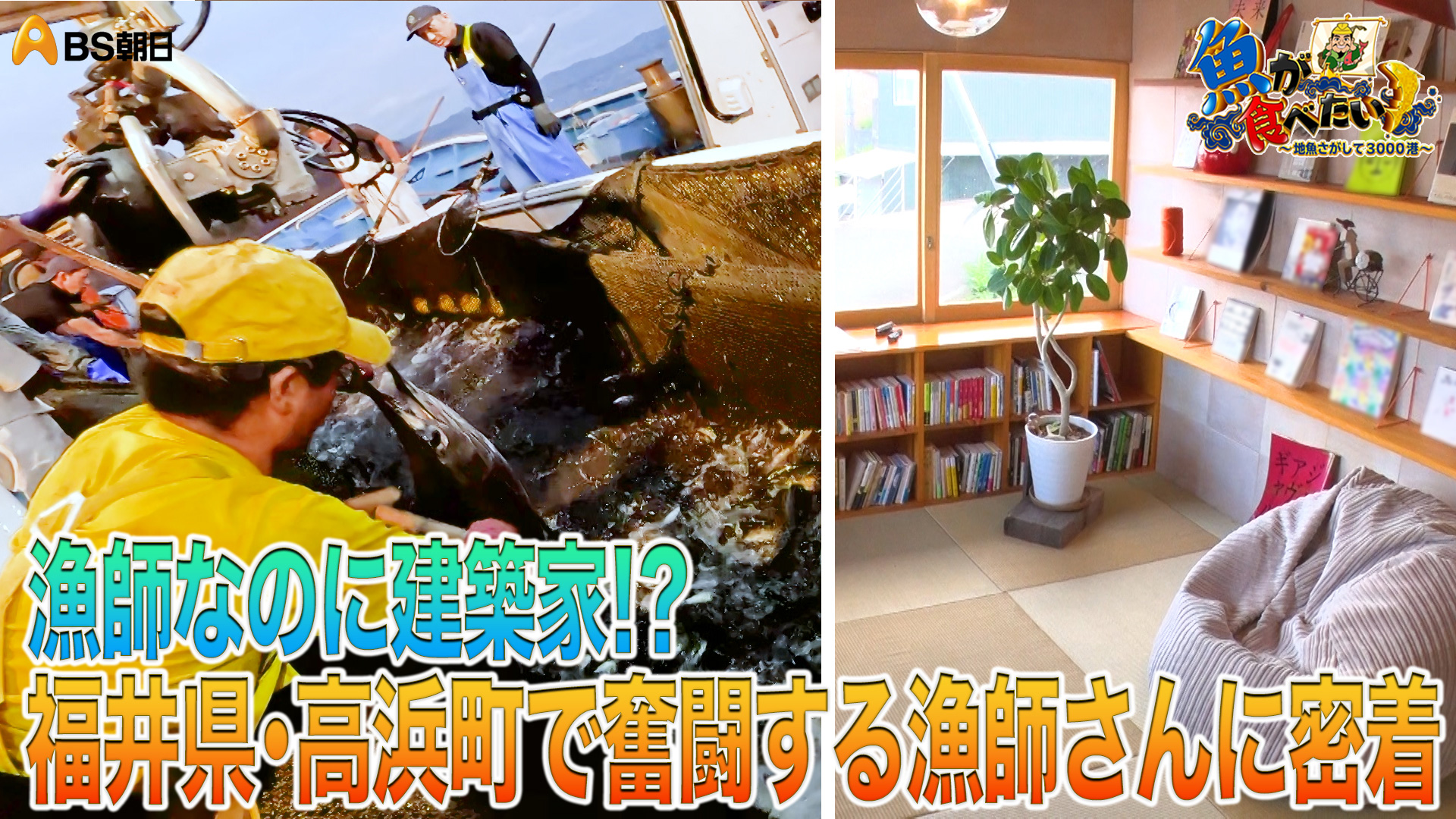 無料テレビで【BS朝日】魚が食べたい！を視聴する