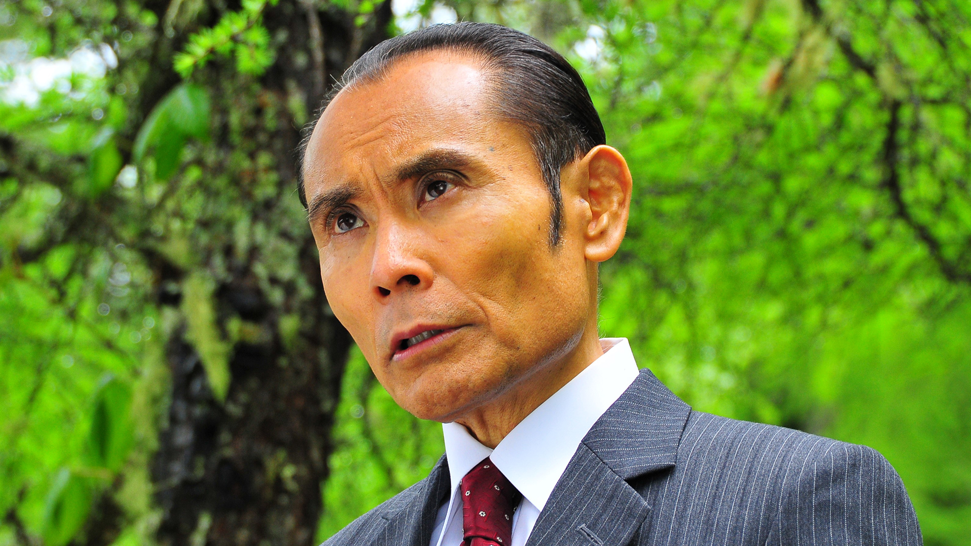 無料テレビで森村誠一を視聴する