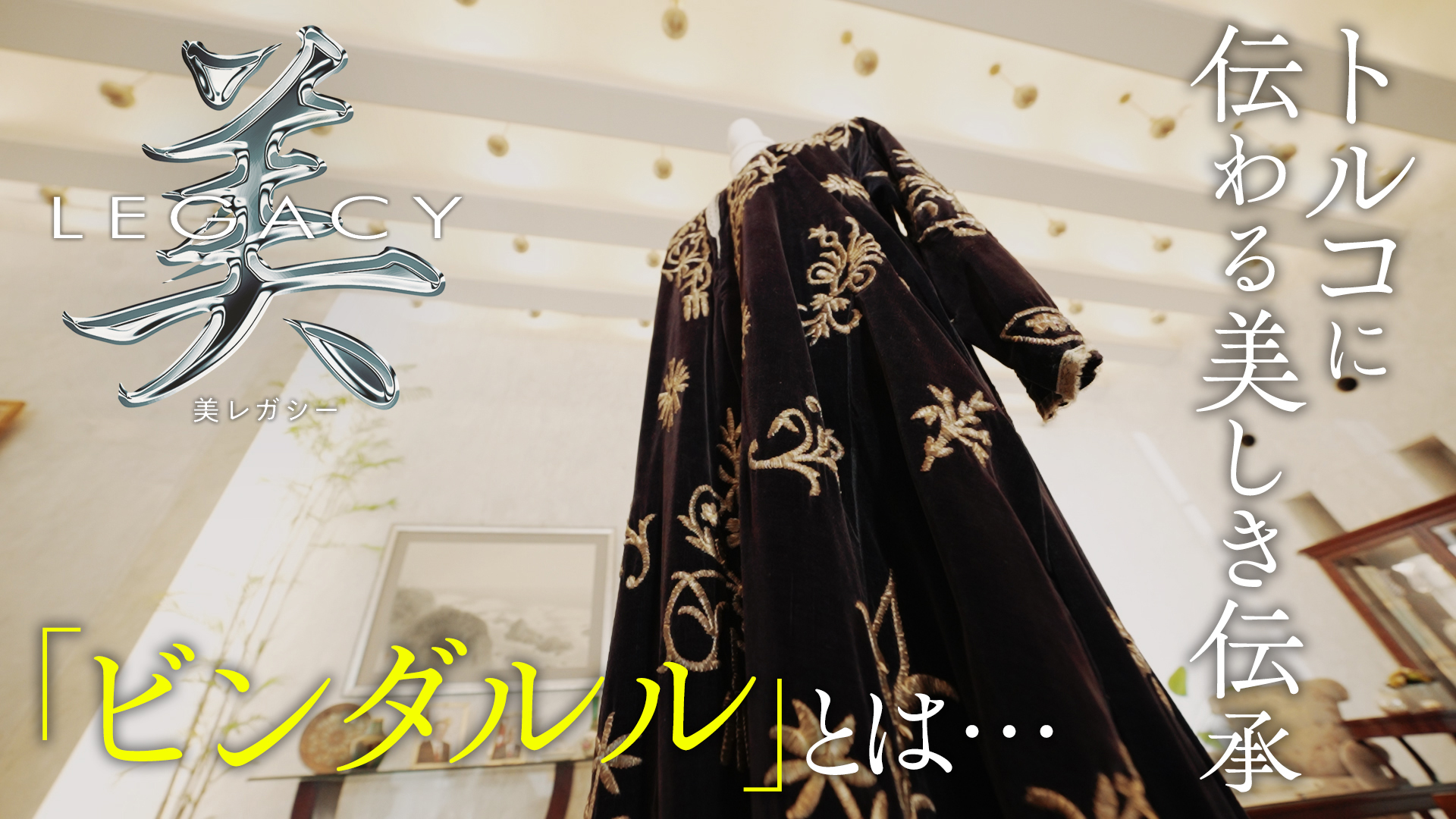 無料テレビで美レガシーを視聴する