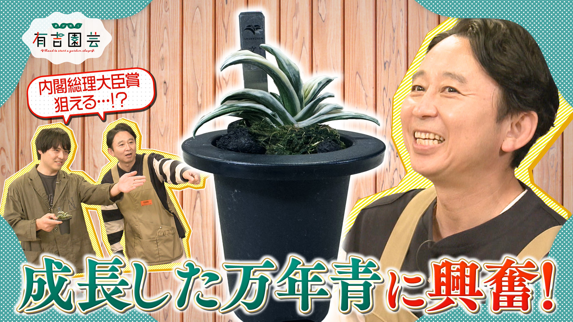 無料テレビで【BS朝日】夢が咲く 有吉園芸～Road to start a garden shop～を視聴する