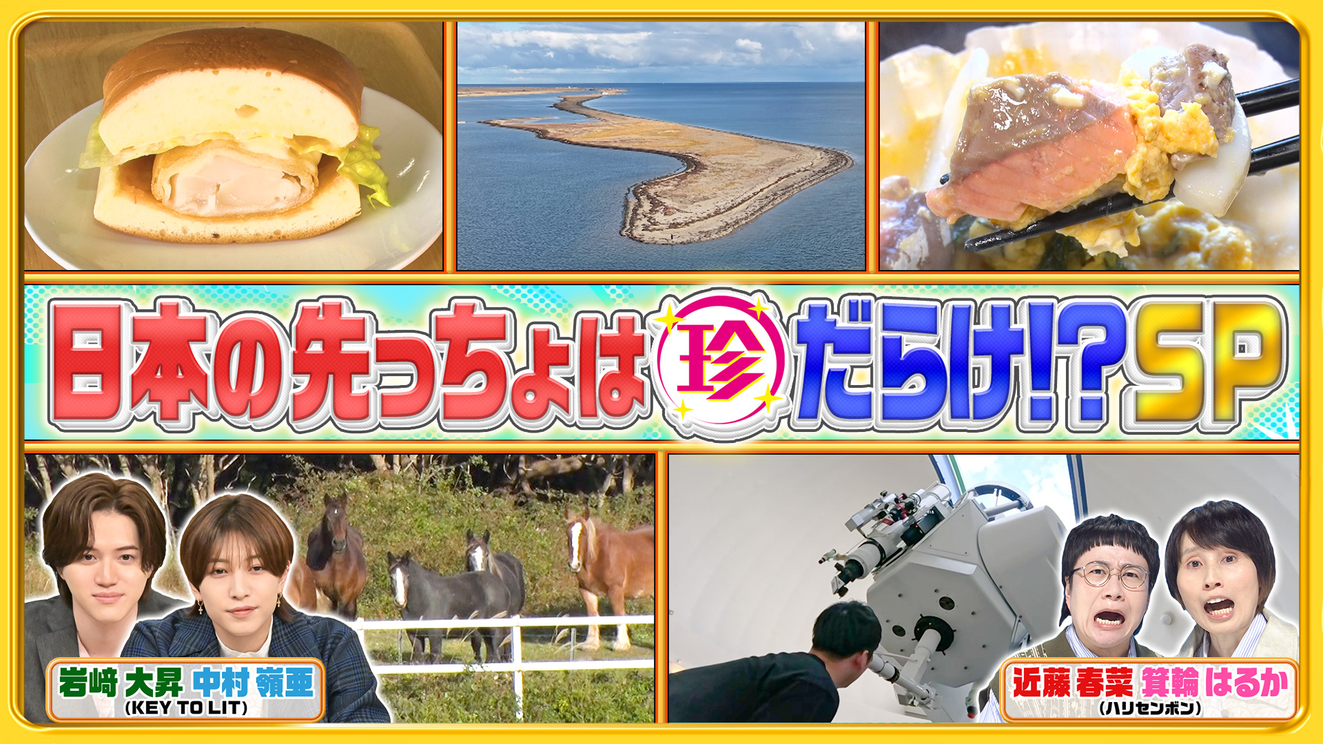 無料テレビでナニコレ珍百景を視聴する