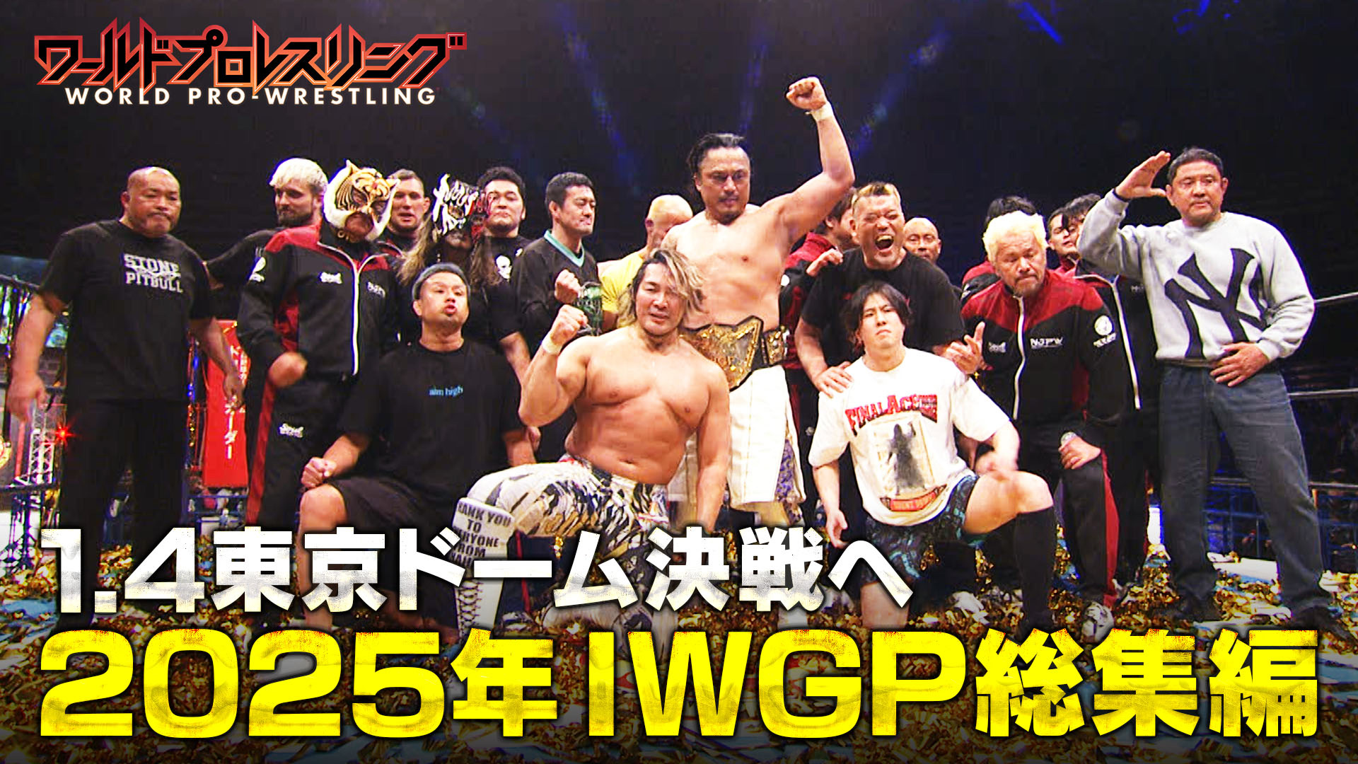 無料テレビでワールドプロレスリングを視聴する