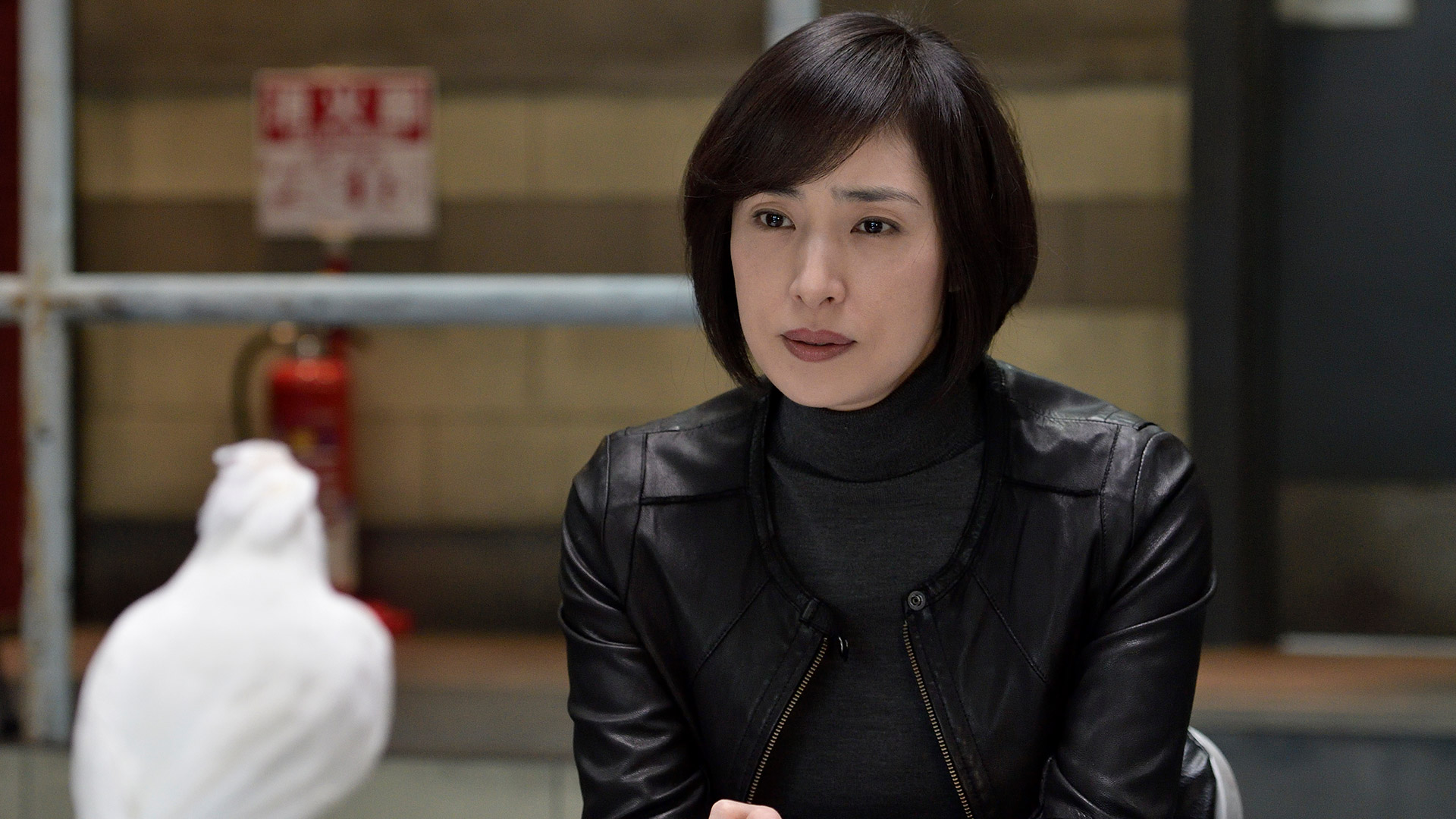 無料テレビで緊急取調室を視聴する