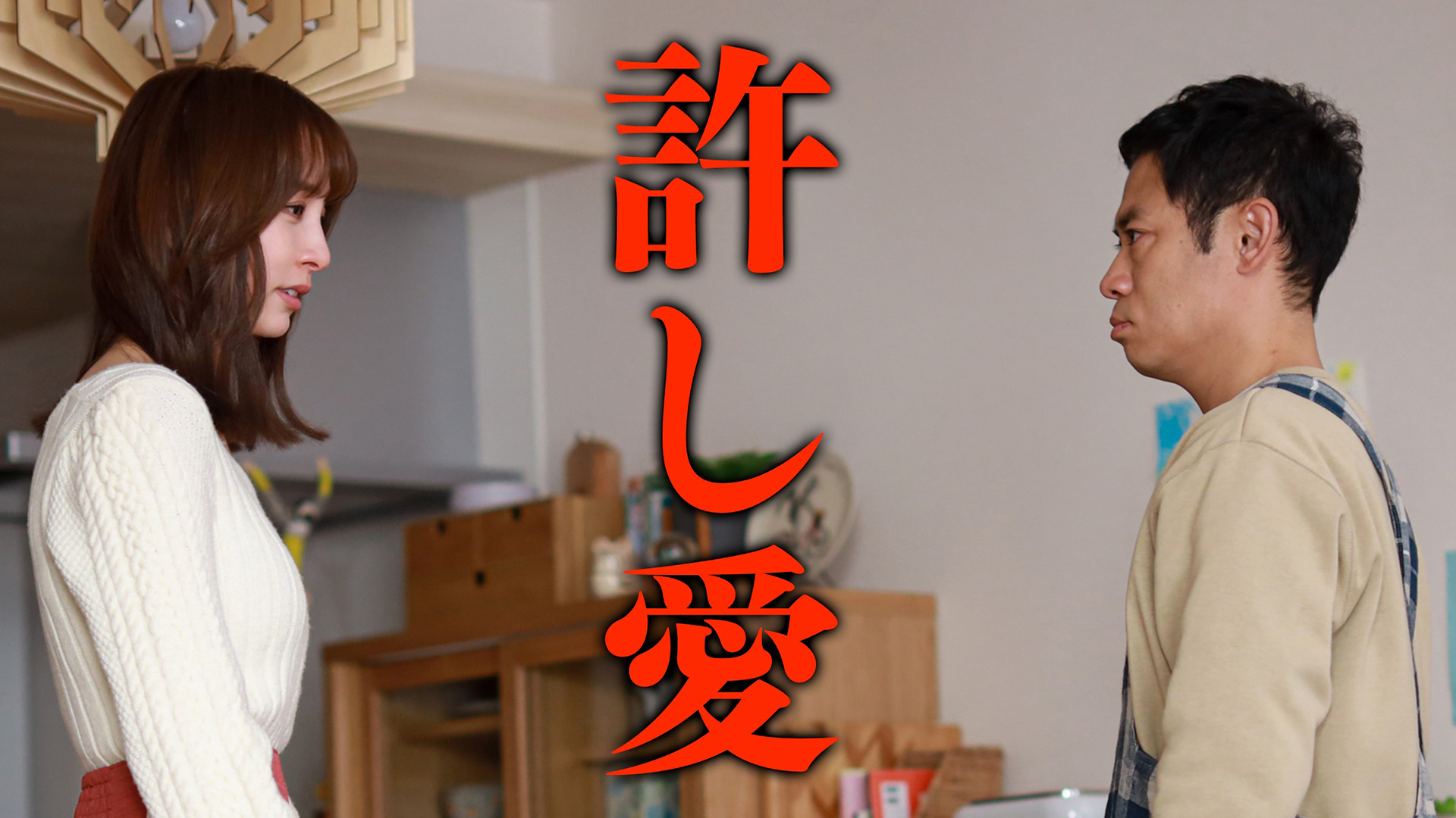 無料テレビで離婚しない男―サレ夫と悪嫁の騙し愛―を視聴する