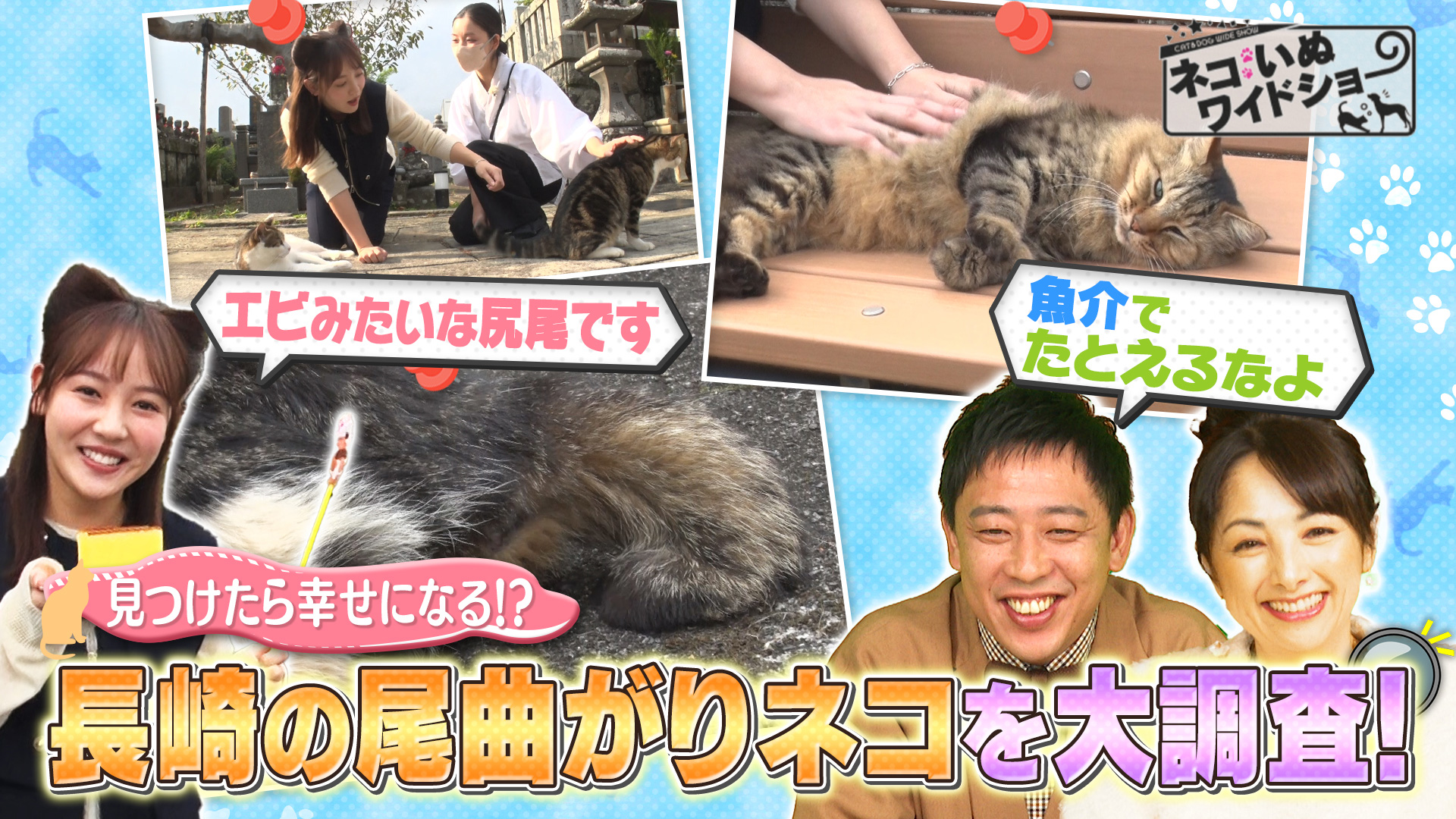 無料テレビで【BS朝日】ネコいぬワイドショーを視聴する