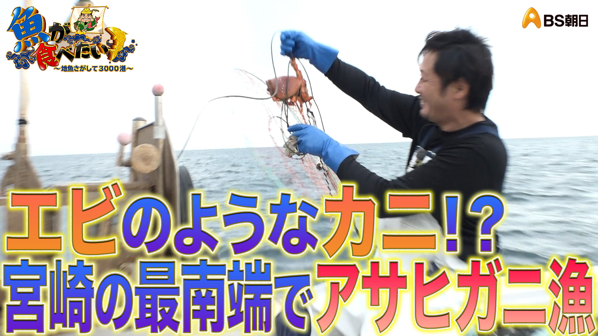無料テレビで【BS朝日】魚が食べたい！を視聴する