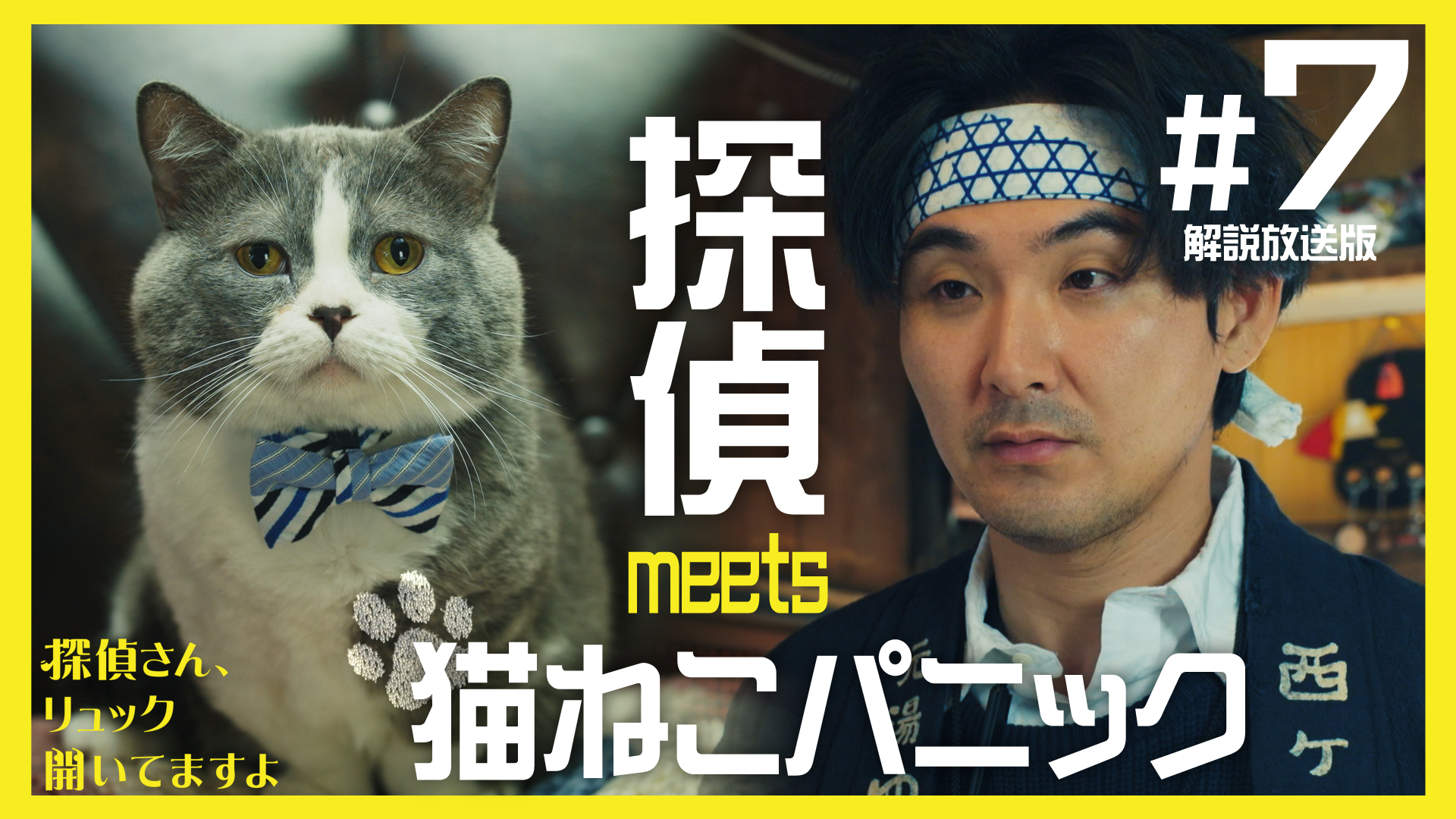 無料テレビで探偵さん、リュック開いてますよを視聴する