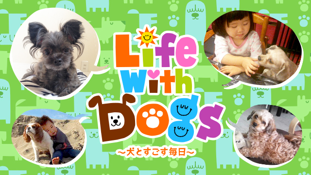 Life With Dogs 犬とすごす毎日 テレ朝動画