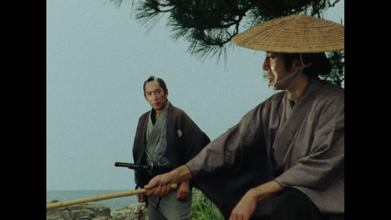 【DVD】必殺仕事人　DVDコレクション　必殺仕事人V 激闘編シリーズ　全33話 Amazon.co.jp: 必殺仕事人DVDコレクション 96号 (必殺仕事人V激闘編 第